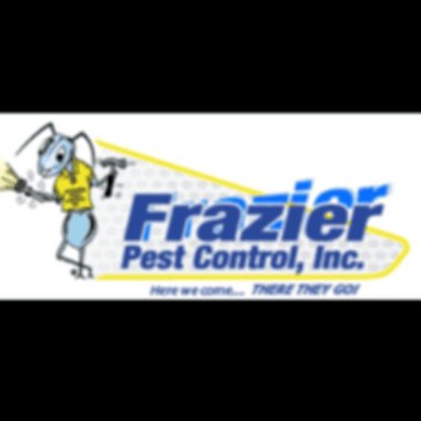 Frazier C. - Freelance Brand Strategist