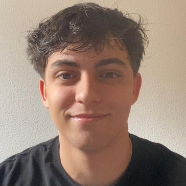 Diogo T. - Freelance Developer