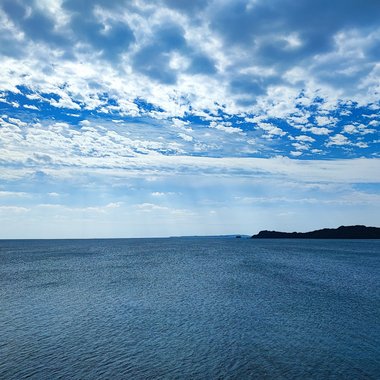 Peter M. - Freelance Singer