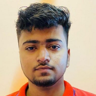 Vikrant S. - Freelance Developer