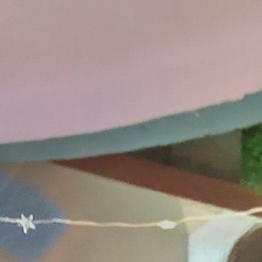 Nikhil B. - Freelance Web Developer