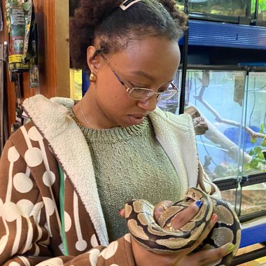 Dibeth M. - Freelance Logo Designer