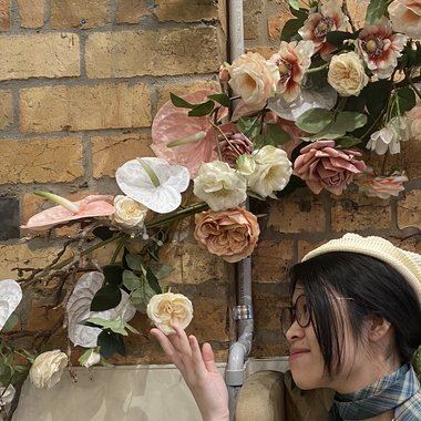 Ally H. - Freelance 2d Animator