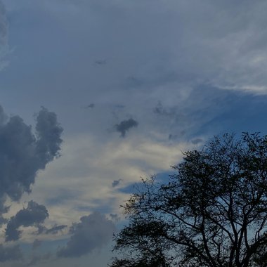 Dulce F. - Freelance Illustrator