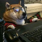 Franyel Noel Paulino Ramos