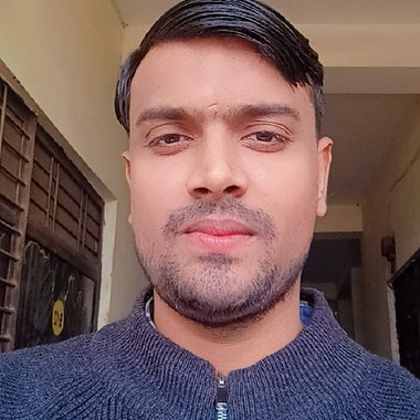 Parul S. - Freelance Web Developer