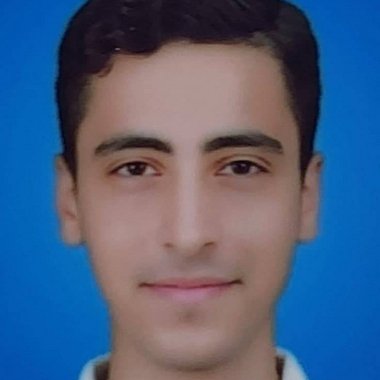 Mohammed A. - Freelance Brand Designer