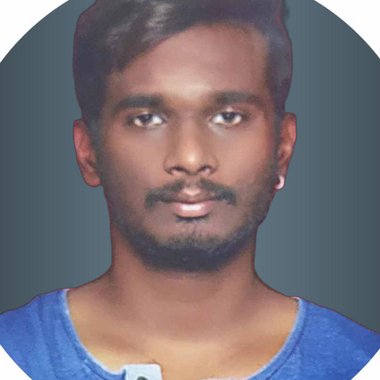 pawel s. - Freelance Web Developer