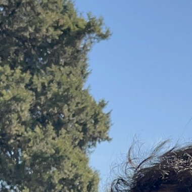 Tathagat A. - Freelance Music Producer