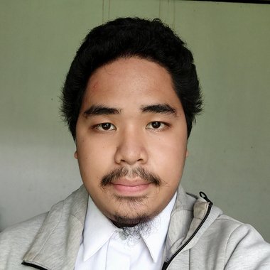Prince P. - Freelance Web Designer