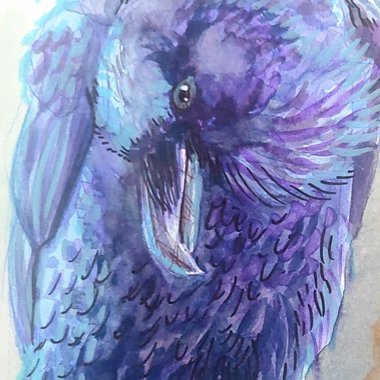 Mia C. - Freelance Illustrator