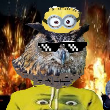 Isabella P. - Freelance Video Editor