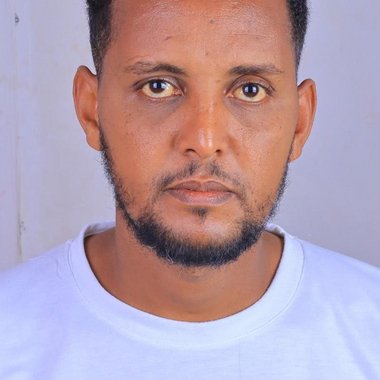 Alelign T. - Freelance Data Collector