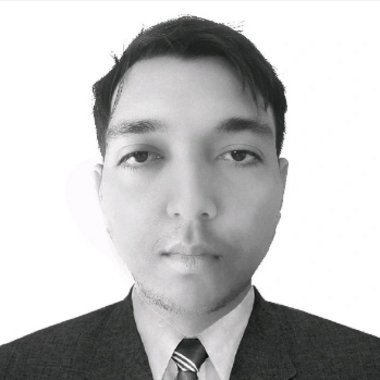 Bishal J. - Freelance Developer