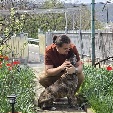 Alin P. - Freelance Database Developer