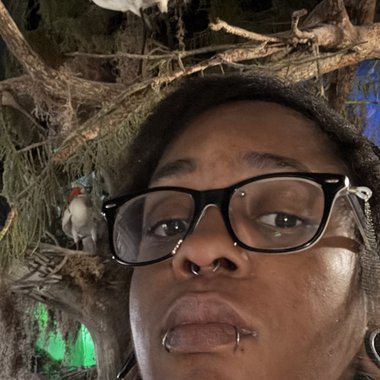 Alyson A. - Freelance Content Creator