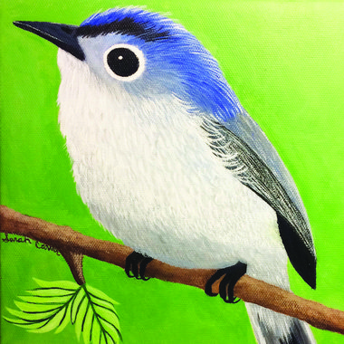 Sarah C. - Freelance Illustrator