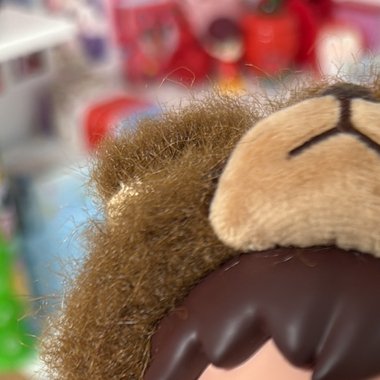 dani - Freelance Content Creator