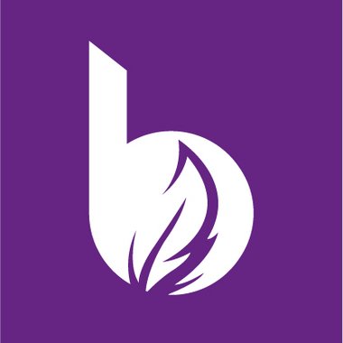 Baal A. - Freelance Logo Designer