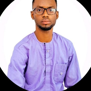 Dennis O. - Freelance Database Developer