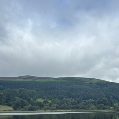 Derek N. - Freelance Illustrator