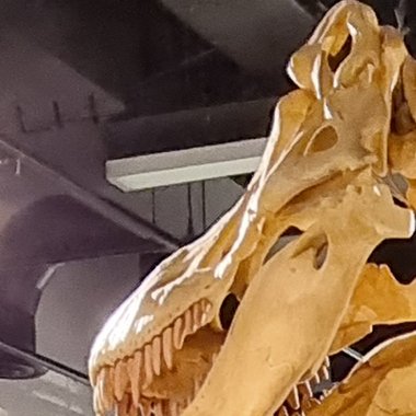 Juan A. - Freelance Character Rigger