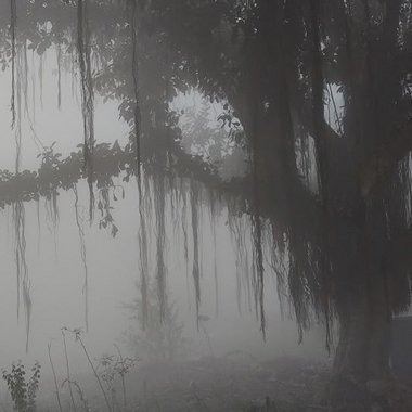 Cherry - Freelance 2d Animator