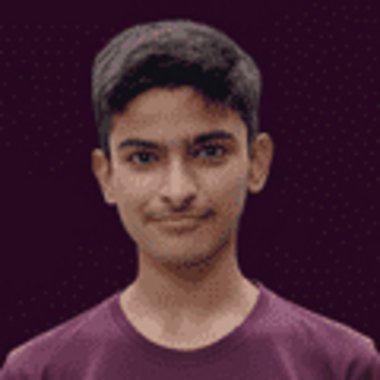 Ali R. - Freelance Programmer