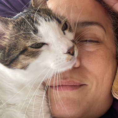 F. S. - Freelance T Shirt Designer