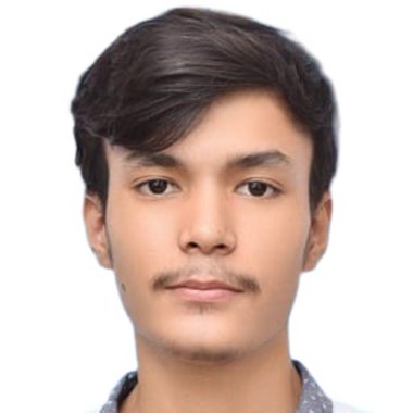 Shabeeh H. - Freelance Data Annotator
