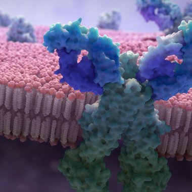 Rob M. - Freelance 3d Animator