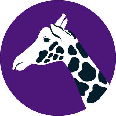 JirafaEstudios - Freelance Brand Designer