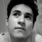 Sebastián Peña Ara