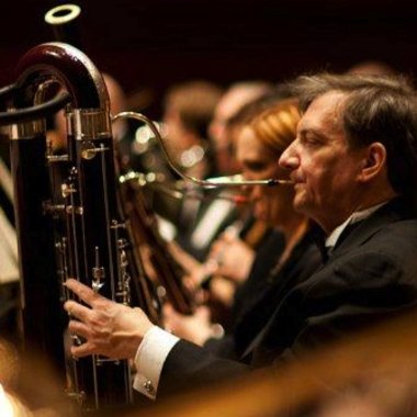 Stephen K. - Freelance Musician