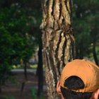 Alexzy Bayu Adjie Pramana