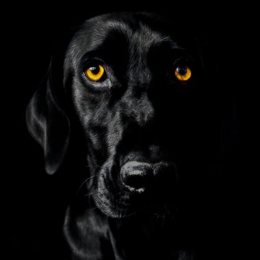 Garance C. - Freelance Director Of Photography