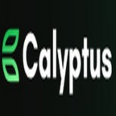 Calyptus - Freelance Trumpeter
