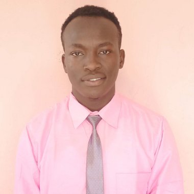 SILVER M. - Freelance Game Tester