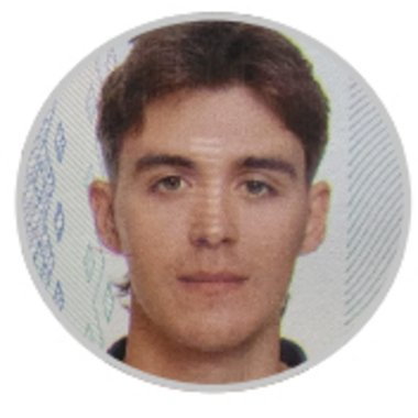 Niklas G. - Freelance Web Developer