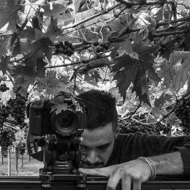 Ludovico S. - Freelance Content Producer