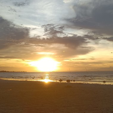 Nelsong - Freelance Video Editor