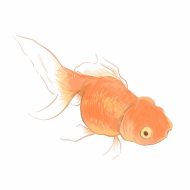 pseriniyom - Freelance Artist