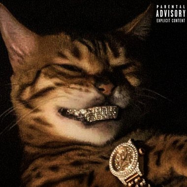 Luxury E. - Freelance Video Editor