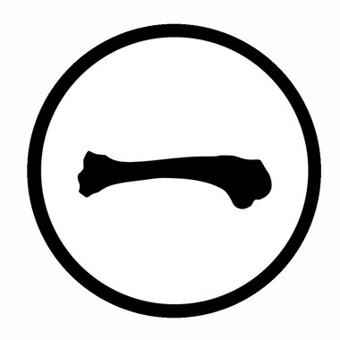 huesosnegros - Freelance Character Designer