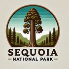 Visit Sequoia National Park