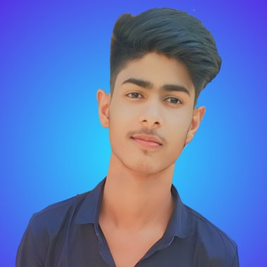 Shivam S. - Freelance Digital Marketer