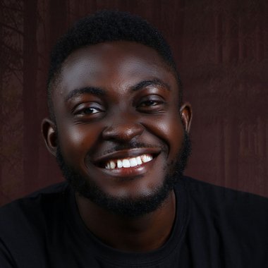 Olamide A. - Freelance Web Developer