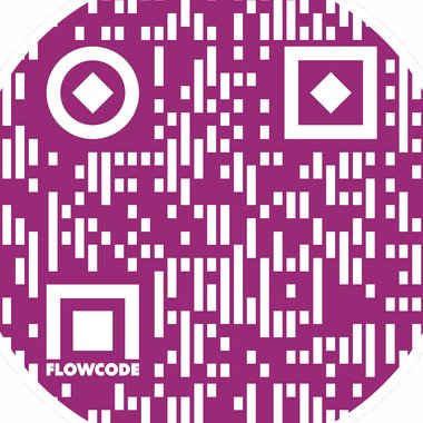 Soham p. - Freelance Presentation Designer