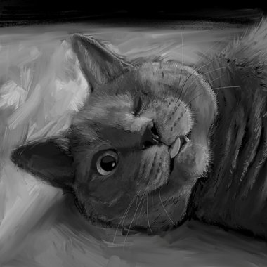 David S. - Freelance Illustrator