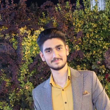 aryan n. - Freelance Animator